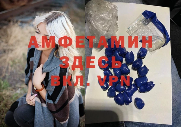 дмт Гатчина