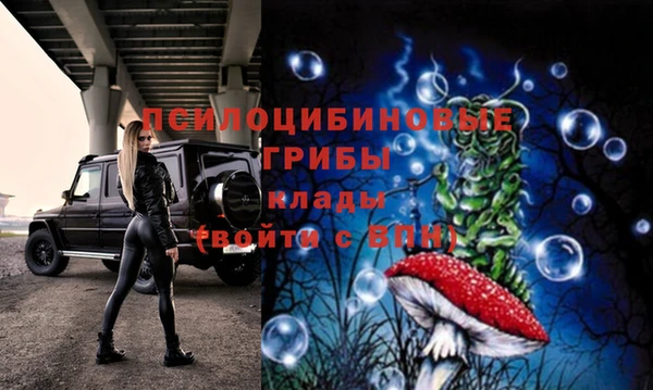дживик Беломорск